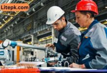 Factory Worker Vacancies in UAE