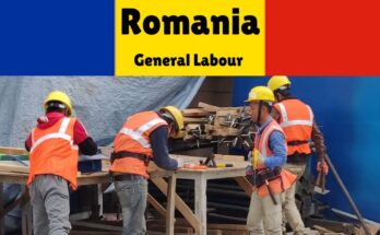 General Labour Jobs in Romania