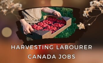 Harvesting Labourer Jobs in Canada