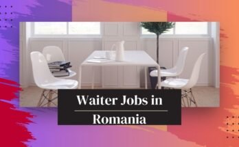 Waiter Jobs in Romania