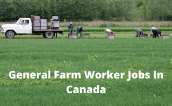 general farm labourer