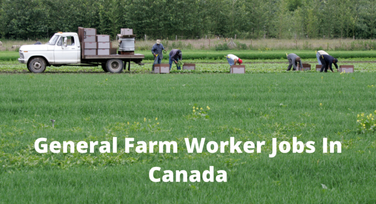 general farm labourer