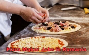 Pizza Maker Jobs in Romania