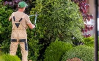 Gardener Helper Jobs in Canada