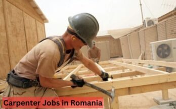 Carpenter Jobs in Romania