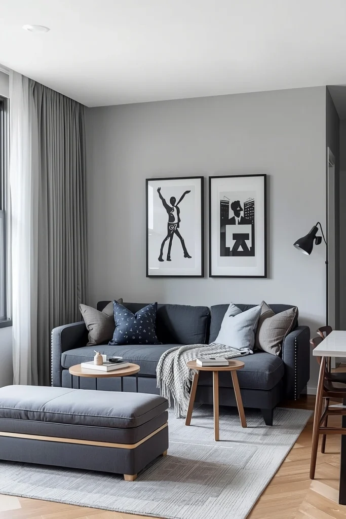 Multi-Functional Furniture Layout