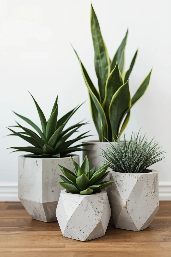 Handmade Concrete Planters