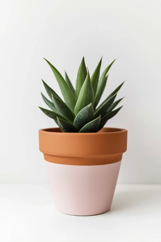 Pastel Scandinavian Simplicity