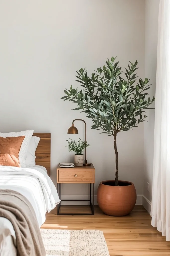 Introduce Indoor Greenery