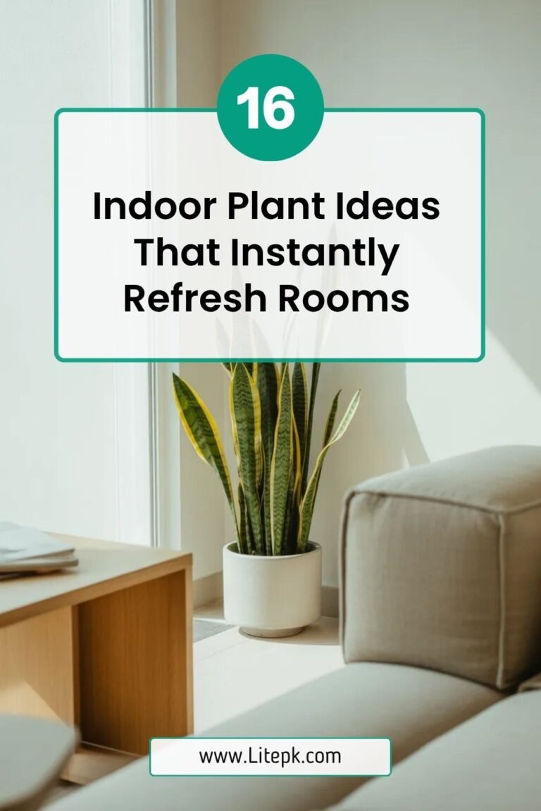 16 Indoor Plant Ideas That Instantly Refresh Rooms